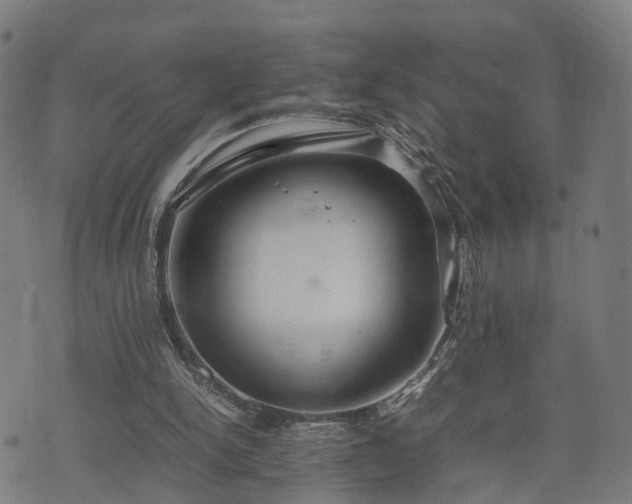 X0000074930150200609081334