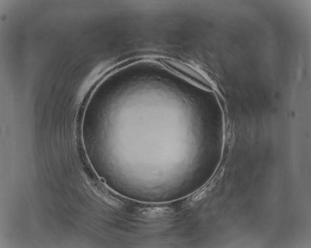 X0000074930151200609081334