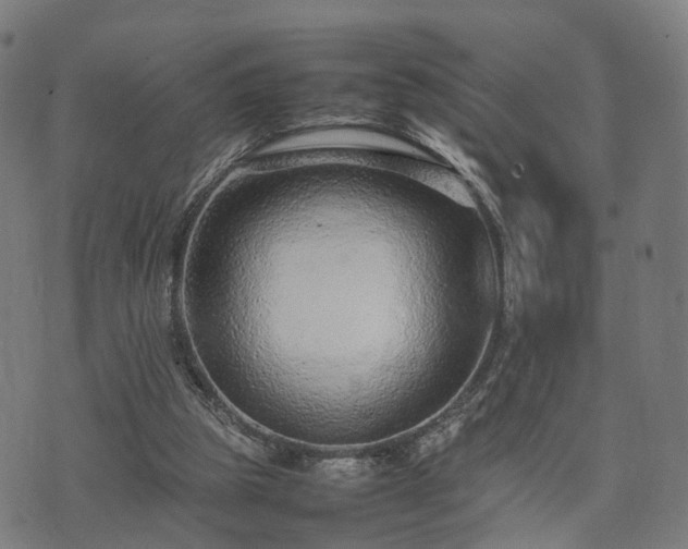 X0000074930153200609081334