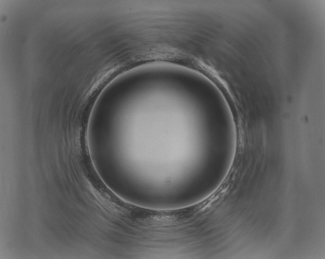 X0000074930154200609081334