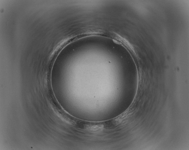 X0000074930155200609081334