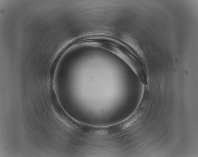 X0000074930156200609081334