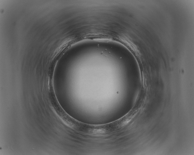 X0000074930157200609081334