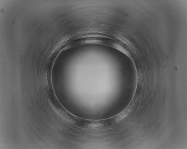 X0000074930158200609081334