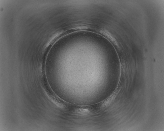 X0000074930159200609081334