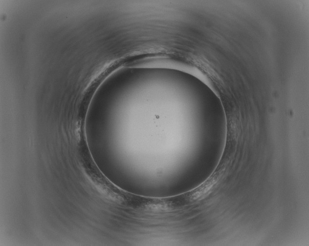 X0000074930160200609081334