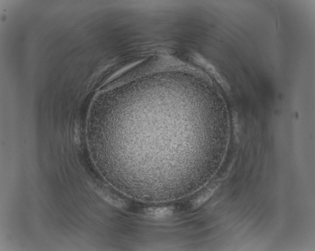 X0000074930161200609081334