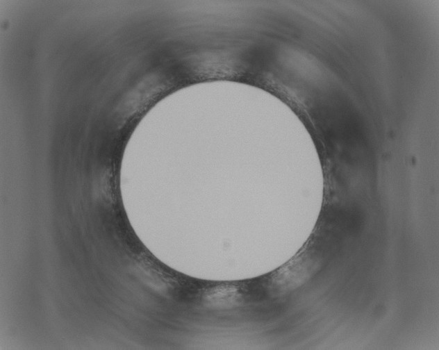 X0000074930162200609081334