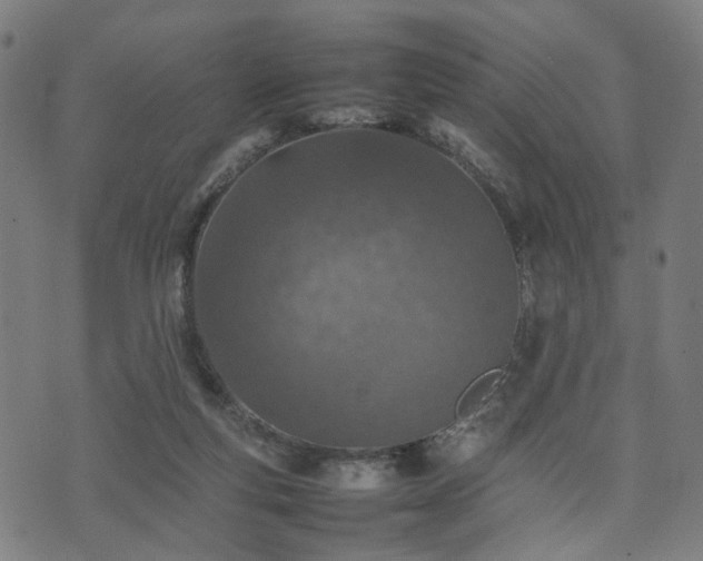 X0000074930163200609081335