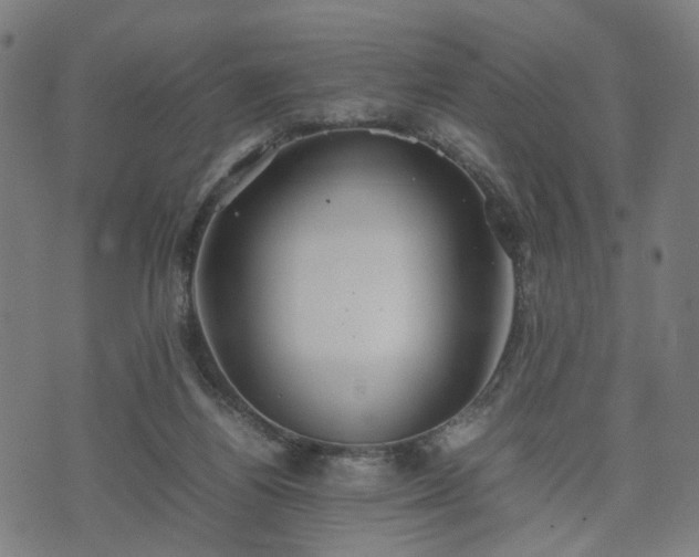 X0000074930164200609081335