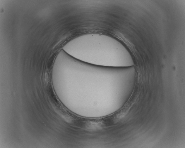 X0000074930165200609081335