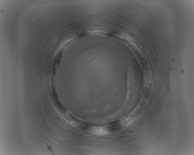 X0000074930167200609081335