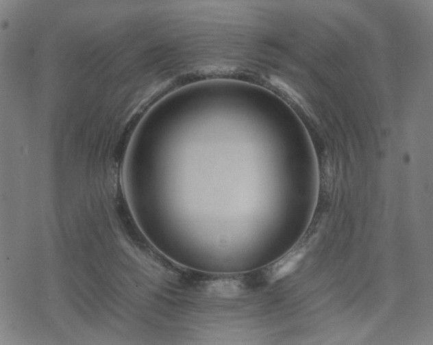 X0000074930168200609081335