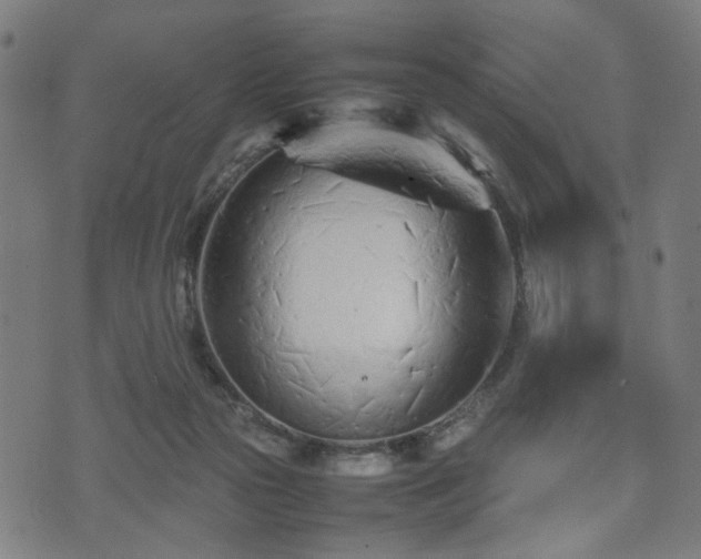 X0000074930169200609081335