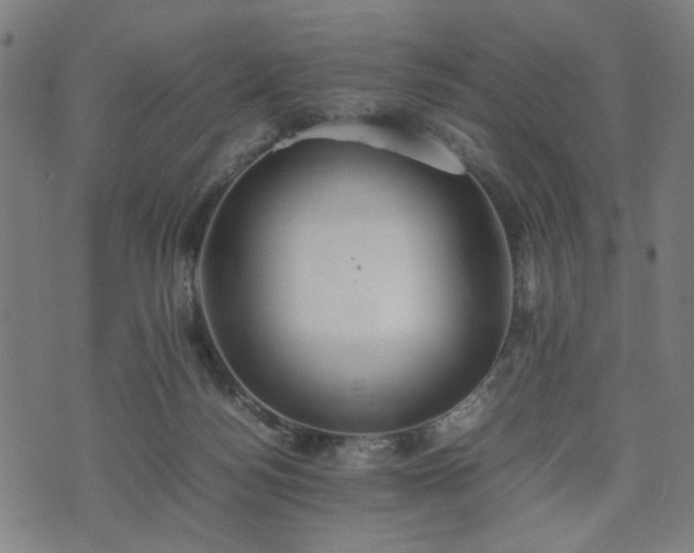 X0000074930172200609081335