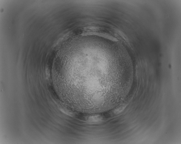 X0000074930173200609081335