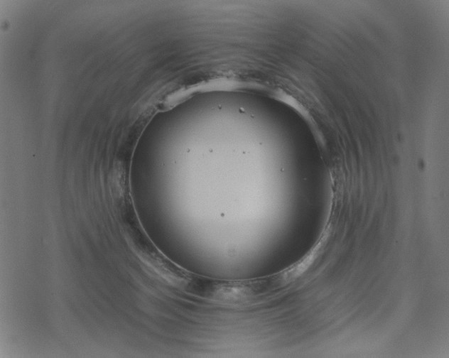 X0000074930174200609081335