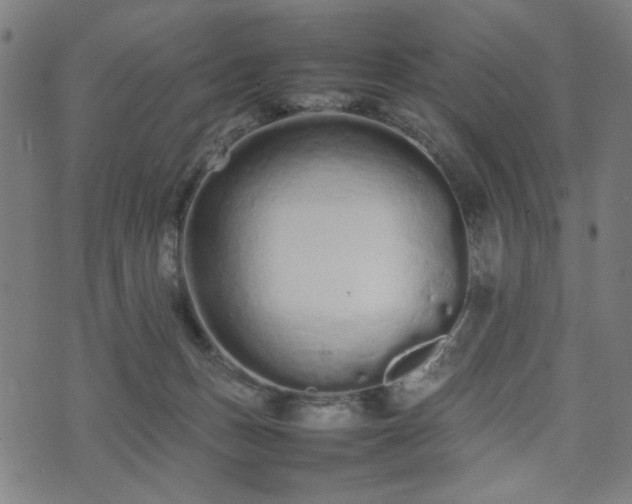 X0000074930175200609081335