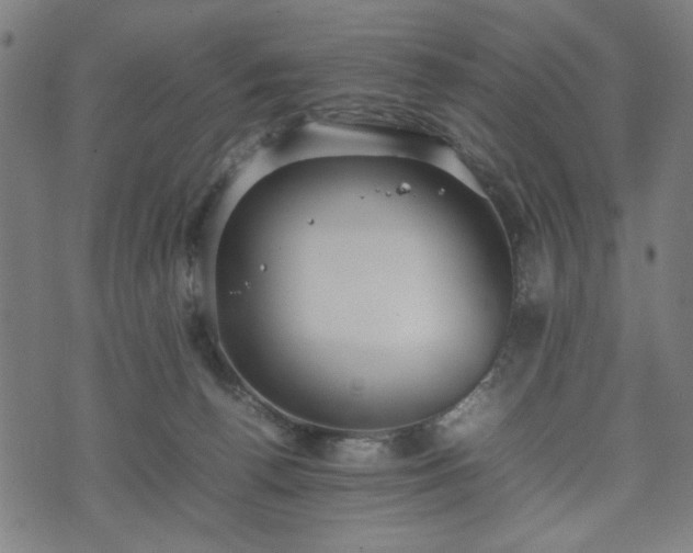 X0000074930176200609081335