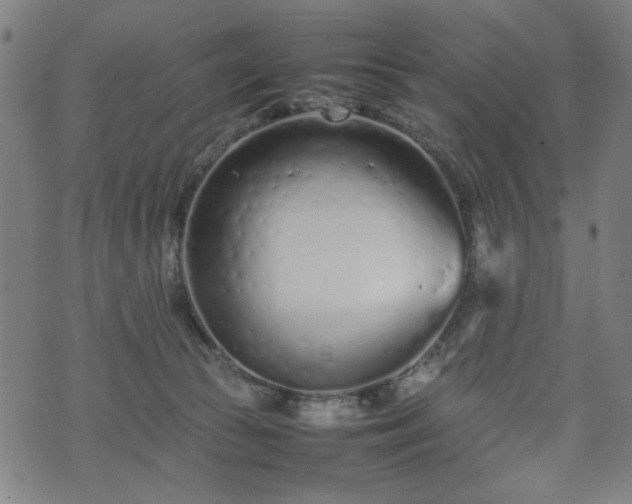 X0000074930177200609081335