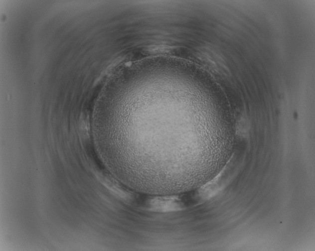 X0000074930179200609081335