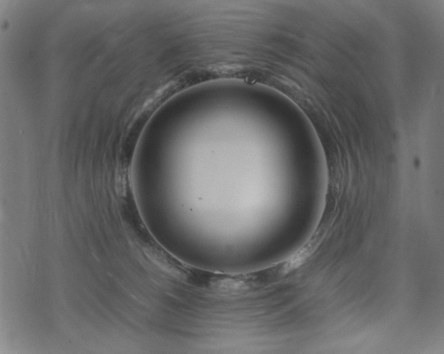 X0000074930180200609081335