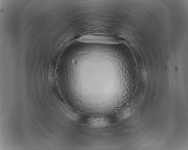 X0000074930181200609081335