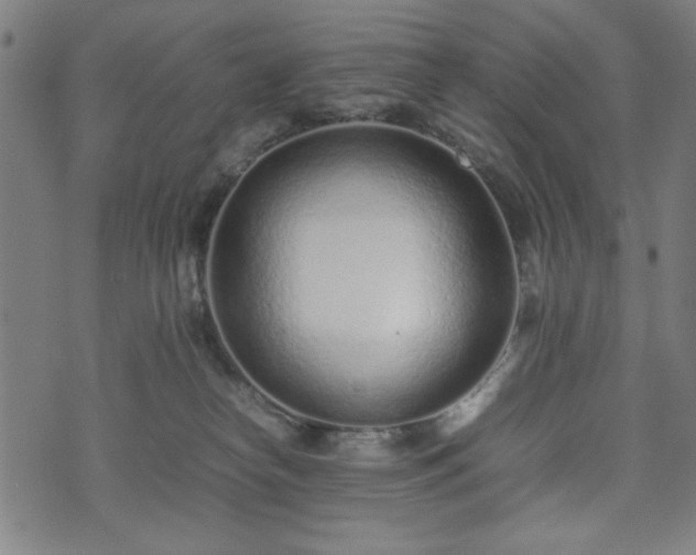 X0000074930182200609081335