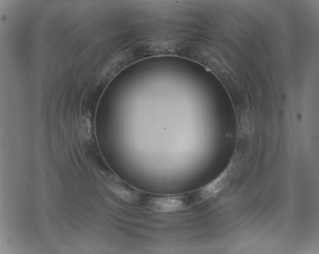 X0000074930183200609081335