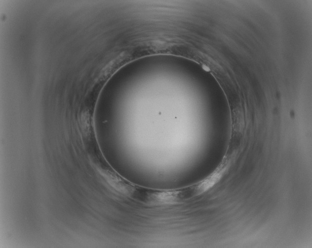 X0000074930184200609081335