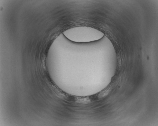 X0000074930185200609081335