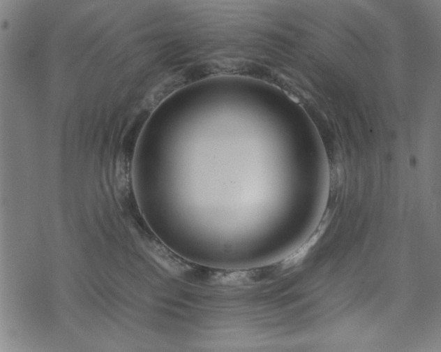 X0000074930186200609081335