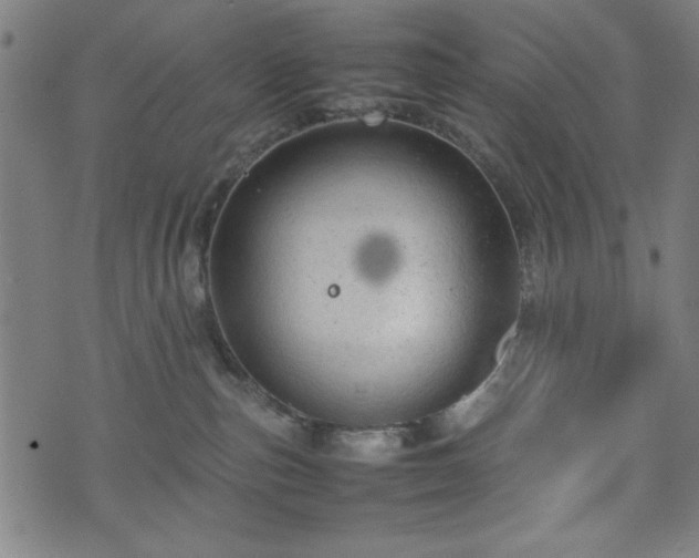 X0000074930187200609081335