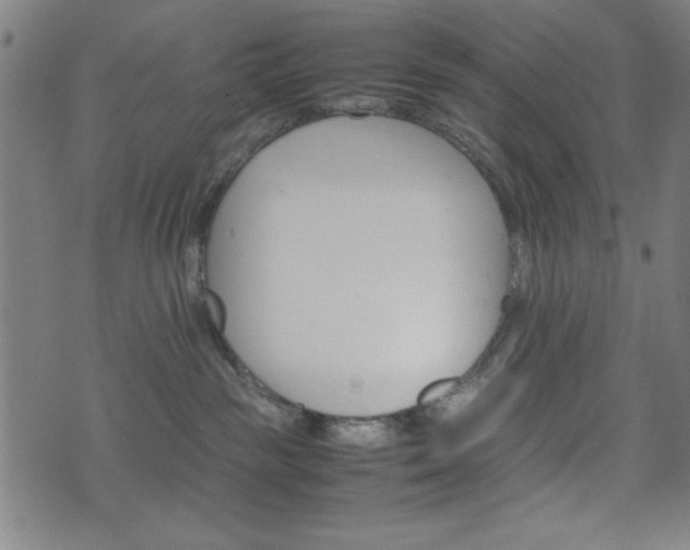 X0000074930189200609081335