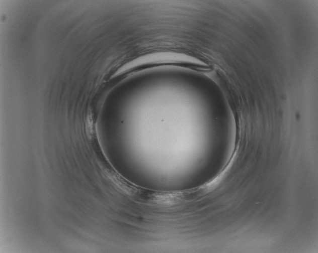 X0000074930190200609081335