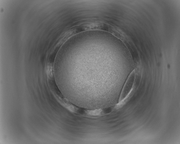 X0000074930191200609081335