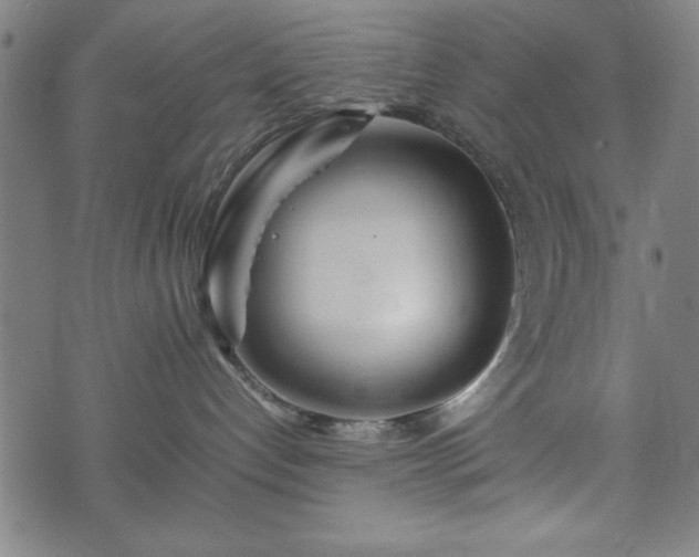 X0000074930192200609081335