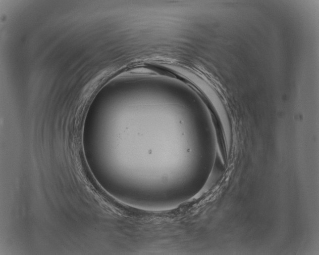 X0000074930193200609081334