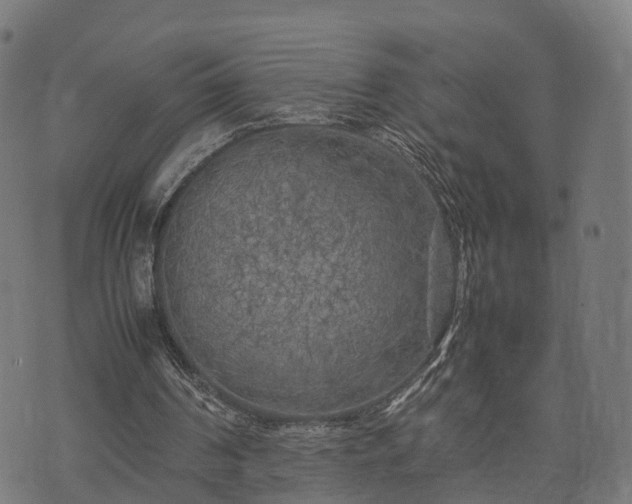 X0000074930194200609081334