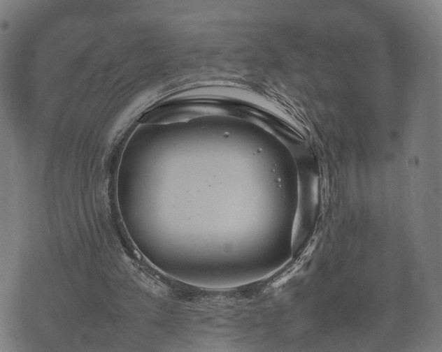 X0000074930197200609081334