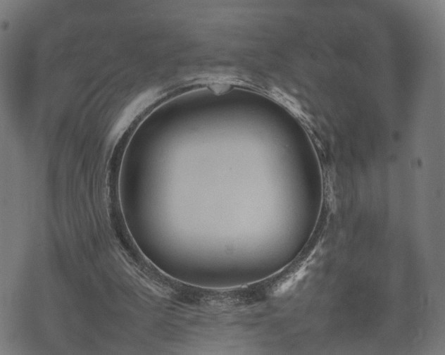 X0000074930199200609081334