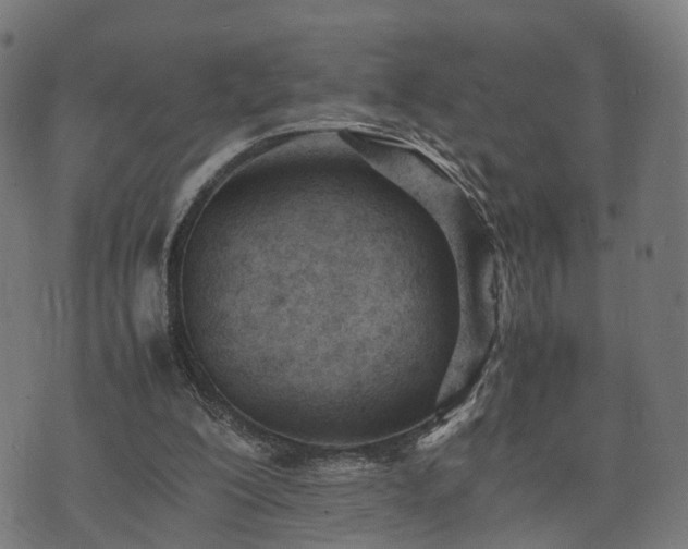 X0000074930200200609081334