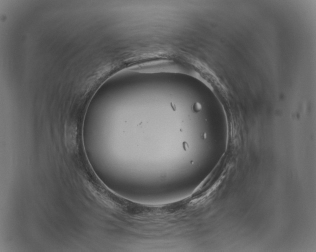 X0000074930201200609081334