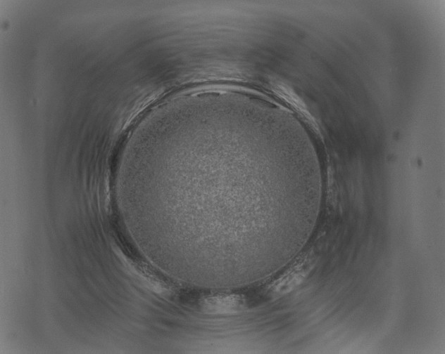 X0000074930202200609081334