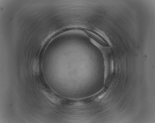 X0000074930204200609081334