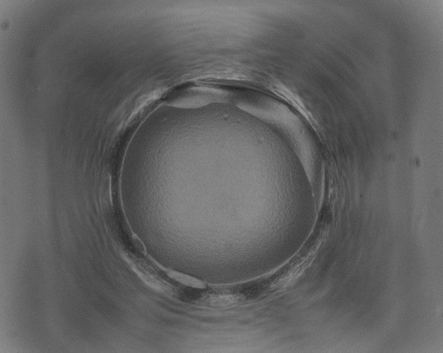 X0000074930205200609081334