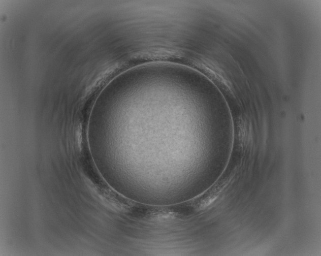 X0000074930206200609081334