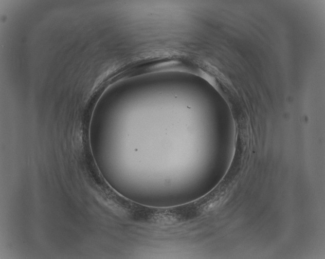 X0000074930207200609081334