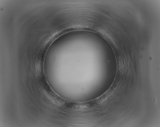 X0000074930208200609081334