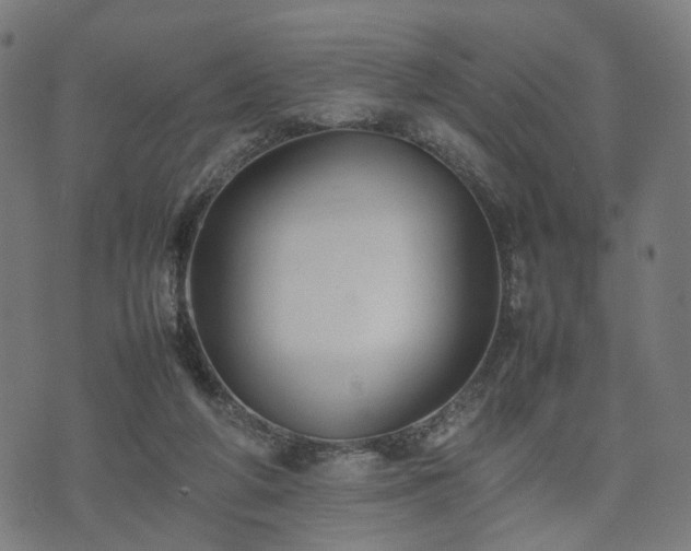 X0000074930210200609081334